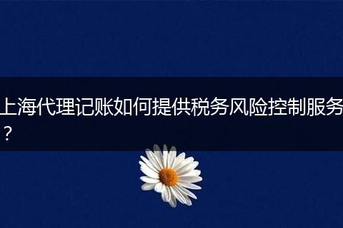 上海代理记账如何提供税务风险控制服务？