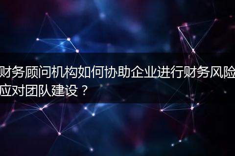 财务顾问机构如何协助企业进行财务风险应对团队建设？
