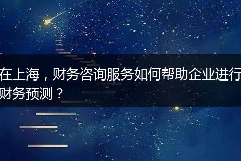 在上海，财务咨询服务如何帮助企业进行财务预测？