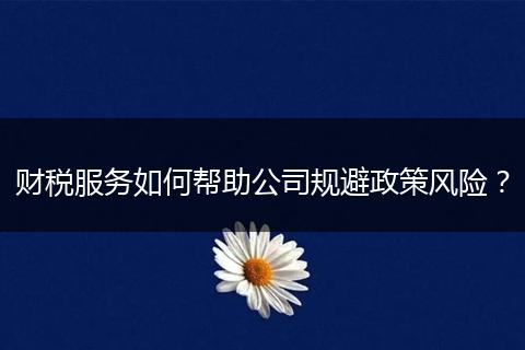 财税服务如何帮助公司规避政策风险？