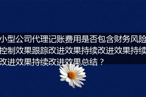 小型公司代理记账费用是否包含财务风险控制效果跟踪改进效果持续改进效果持续改进效果持续改进效果总结？