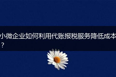 小微企业如何利用代账报税服务降低成本？
