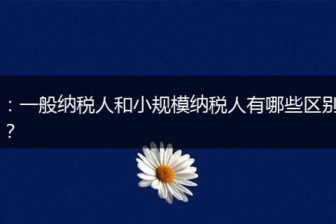 :一般纳税人和小规模纳税人有哪些区别?