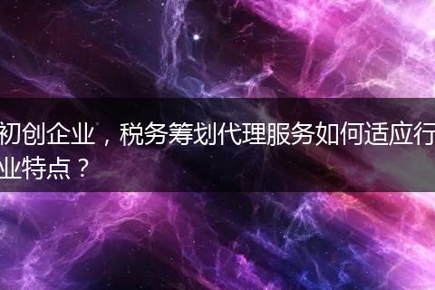 初创企业，税务筹划代理服务如何适应行业特点？