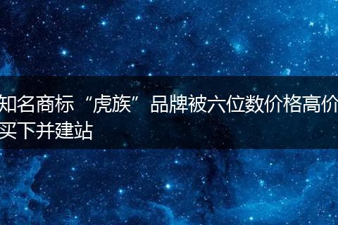 知名商标“虎族”品牌被六位数价格高价买下并建站
