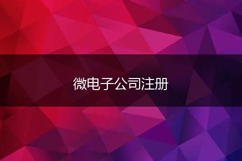 微电子公司注册
