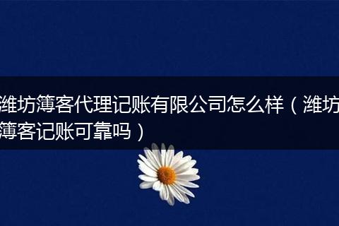 潍坊簿客代理记账有限公司怎么样(潍坊簿客记账可靠吗)
