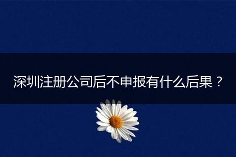 深圳注册公司后不申报有什么后果？