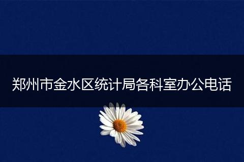 郑州市金水区统计局各科室办公电话