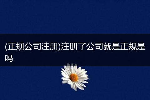 (正规公司注册)注册了公司就是正规是吗