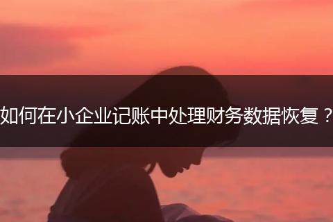 如何在小企业记账中处理财务数据恢复？