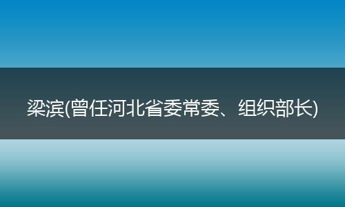 梁滨(曾任河北省委常委、组织部长)