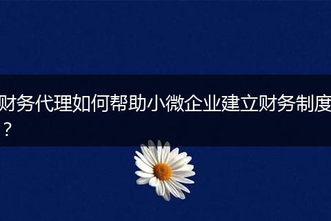 财务代理如何帮助小微企业建立财务制度？