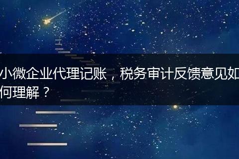 小微企业代理记账，税务审计反馈意见如何理解？