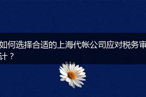 如何选择合适的上海代帐公司应对税务审计？