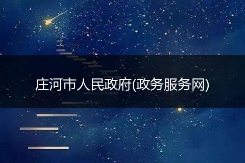 庄河市人民政府(政务服务网)