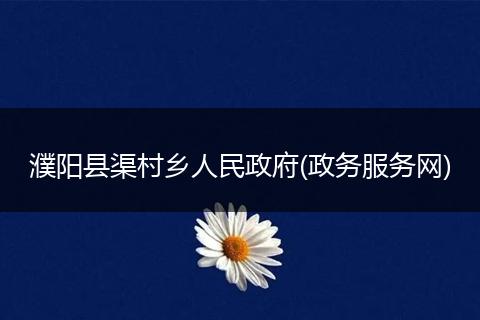 濮阳县渠村乡人民政府(政务服务网)