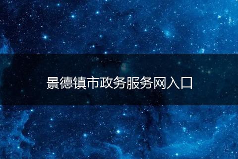 景德镇市政务服务网入口