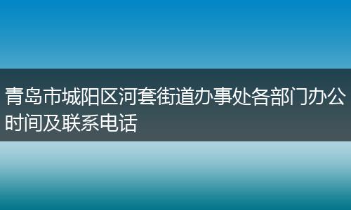 青岛市城阳区河套街道办事处各部门办公时间及联系电话