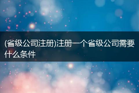 (省级公司注册)注册一个省级公司需要什么条件