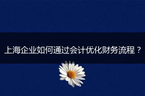 上海企业如何通过会计优化财务流程？