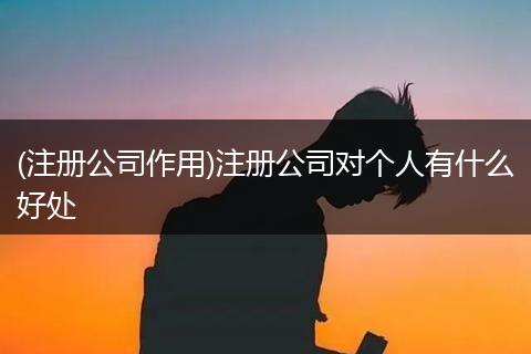 (注册公司作用)注册公司对个人有什么好处