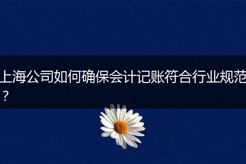 上海公司如何确保会计记账符合行业规范？