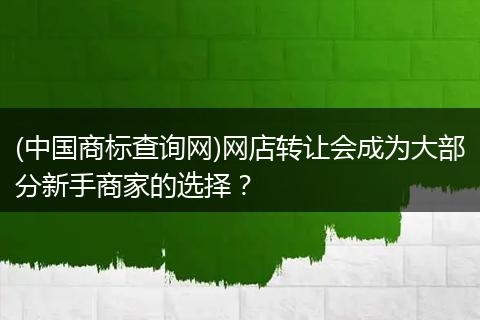 (中国商标查询网)网店转让会成为大部分新手商家的选择?