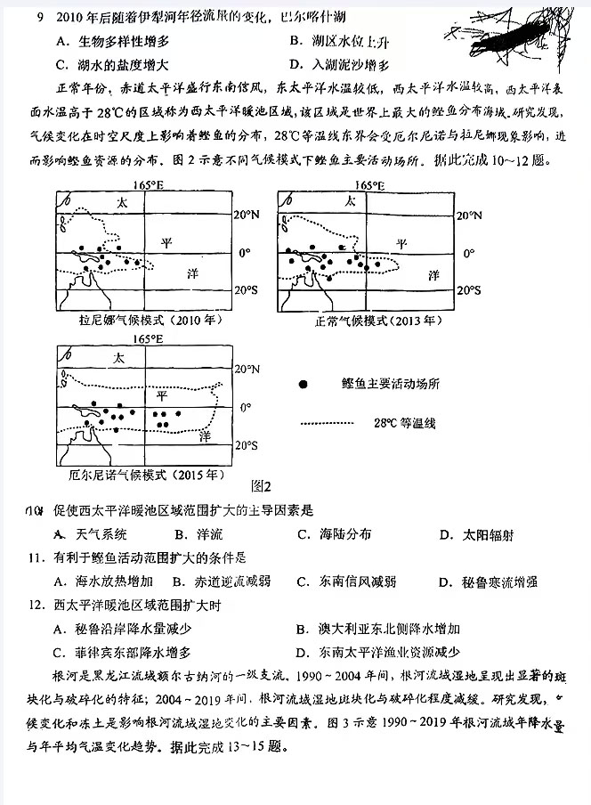 2025届高三宜宾一诊各科考试试题及答案解析
