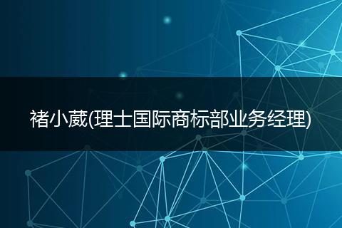 褚小葳(理士国际商标部业务经理)