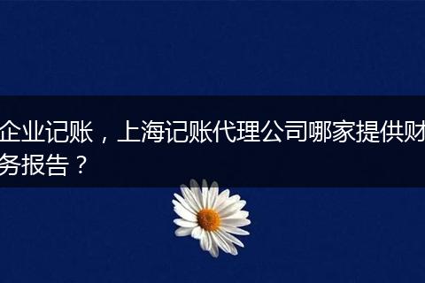 企业记账，上海记账代理公司哪家提供财务报告？