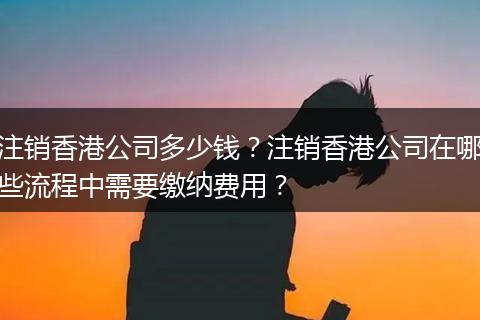 注销香港公司多少钱？注销香港公司在哪些流程中需要缴纳费用？