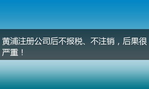 黄浦注册公司后不报税、不注销,后果很严重!