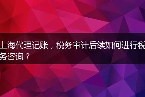 上海代理记账，税务审计后续如何进行税务咨询？