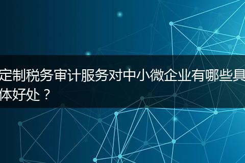 定制税务审计服务对中小微企业有哪些具体好处？
