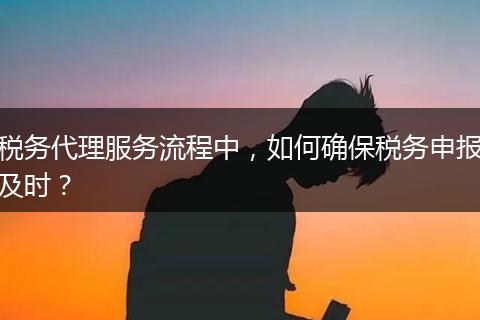 税务代理服务流程中，如何确保税务申报及时？