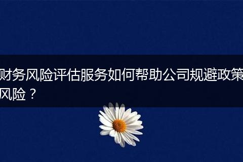 财务风险评估服务如何帮助公司规避政策风险？
