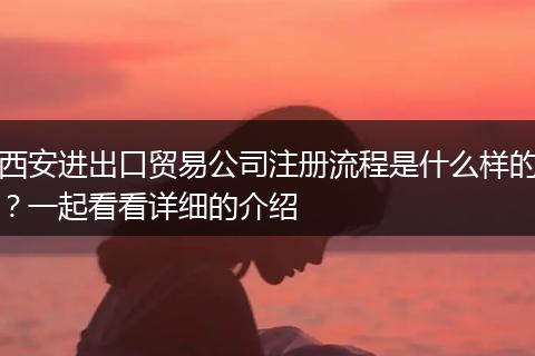 西安进出口贸易公司注册流程是什么样的?一起看看详细的介绍