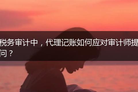 税务审计中，代理记账如何应对审计师提问？