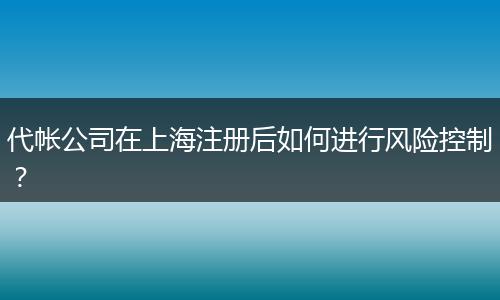 代帐公司在上海注册后如何进行风险控制？