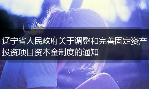 辽宁省人民政府关于调整和完善固定资产投资项目资本金制度的通知