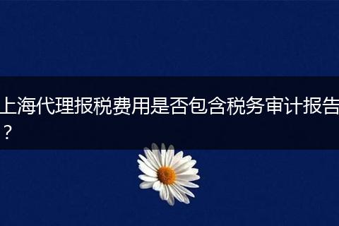 上海代理报税费用是否包含税务审计报告？