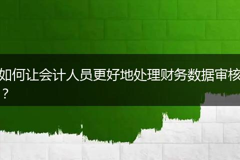 如何让会计人员更好地处理财务数据审核？