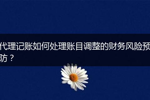 代理记账如何处理账目调整的财务风险预防？