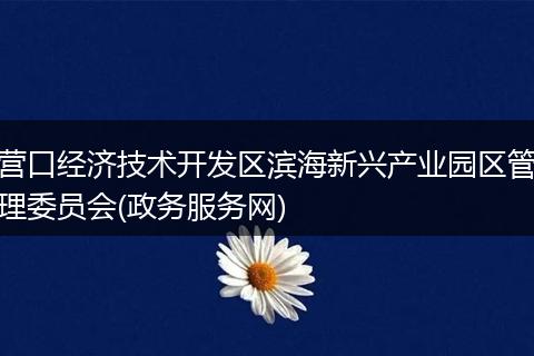营口经济技术开发区滨海新兴产业园区管理委员会(政务服务网)