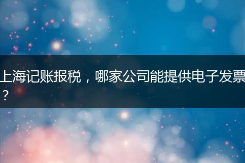 上海记账报税，哪家公司能提供电子发票？