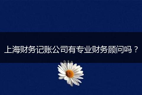 上海财务记账公司有专业财务顾问吗？