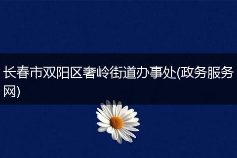 长春市双阳区奢岭街道办事处(政务服务网)