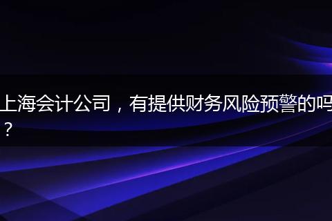 上海会计公司，有提供财务风险预警的吗？