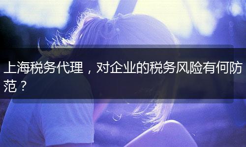 上海税务代理，对企业的税务风险有何防范？